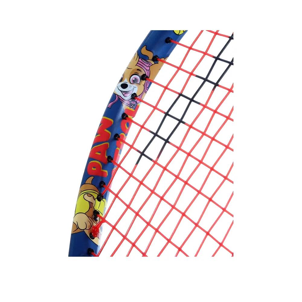 Paw 17 (blue) 4/8