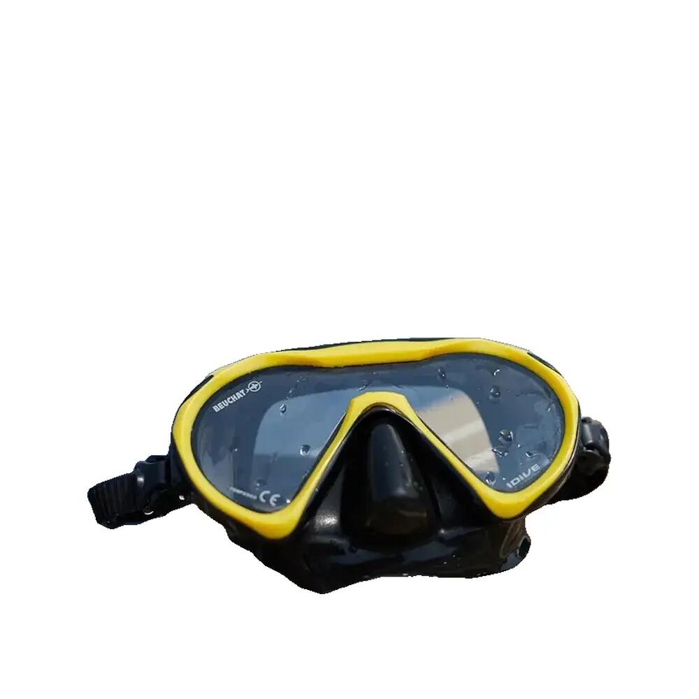 1Dive 4/4