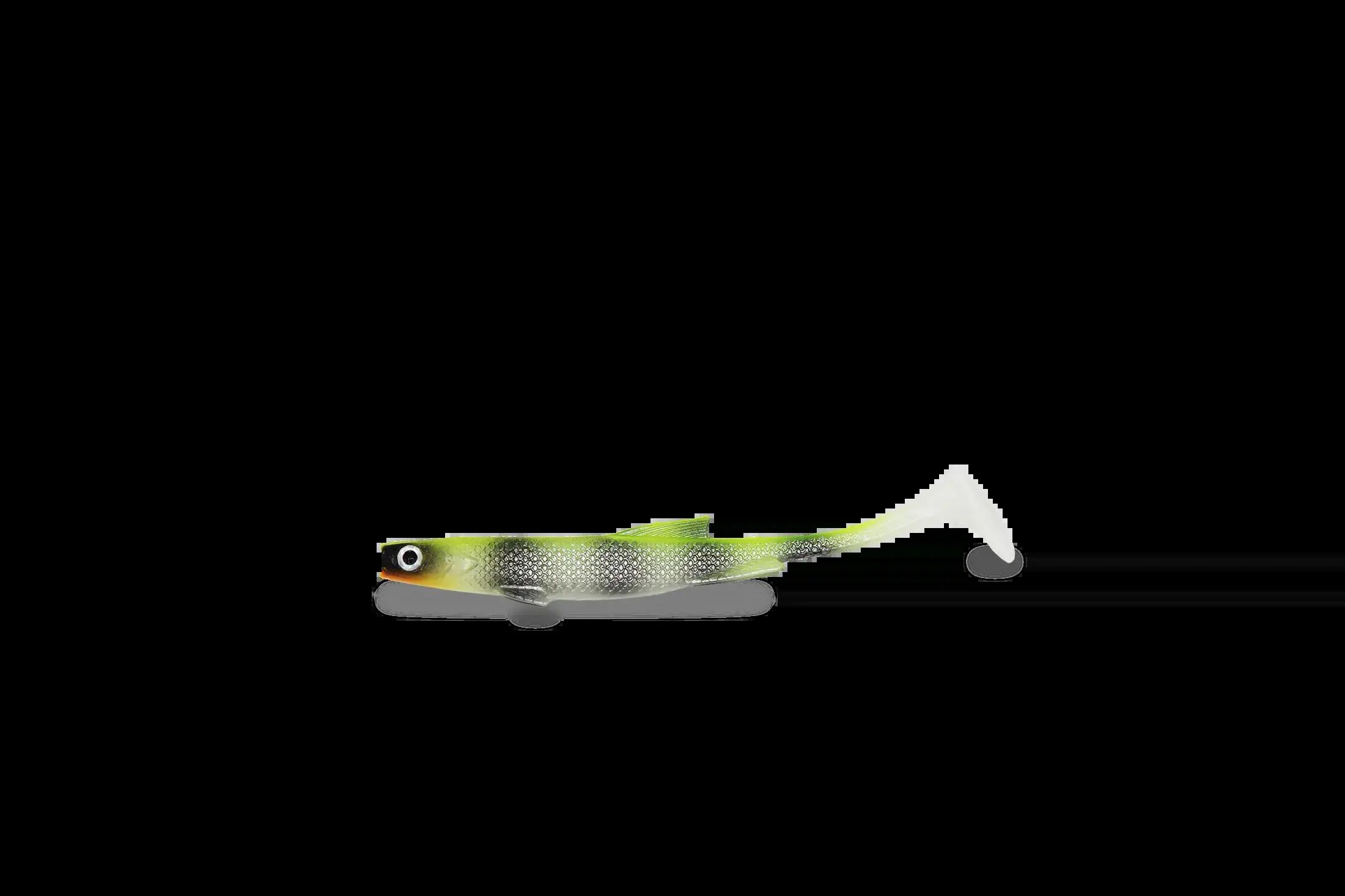 FISHINGGHOST picture