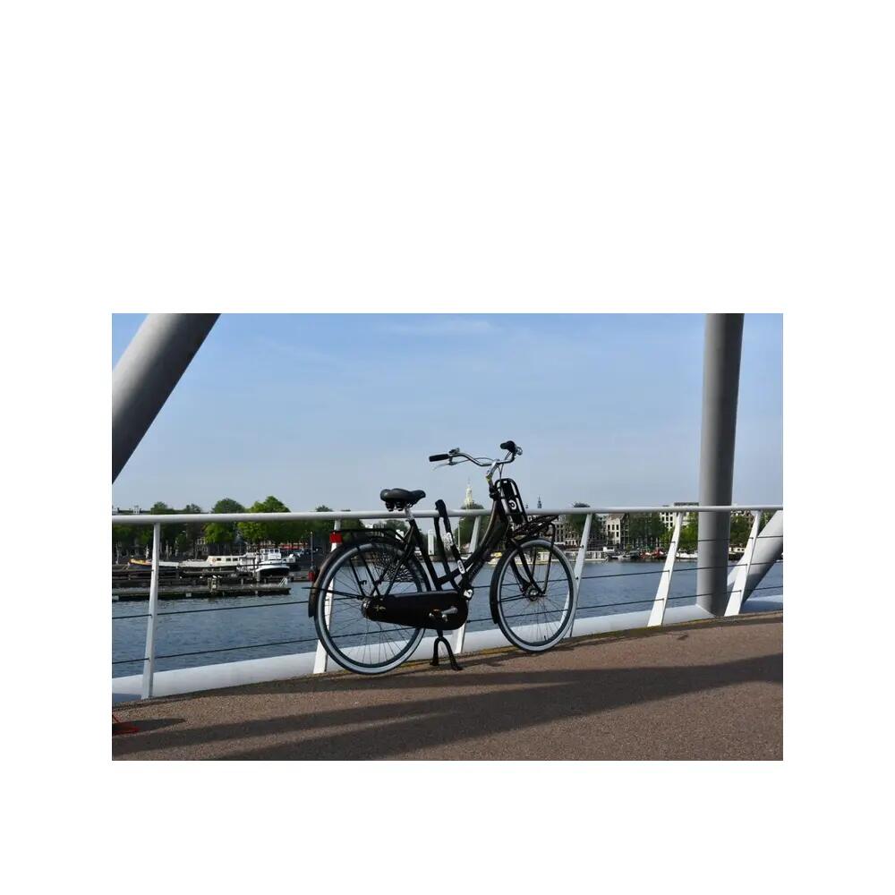 Fahrradschloss ABUS CityChain 8800/120 Schwarz 6/10