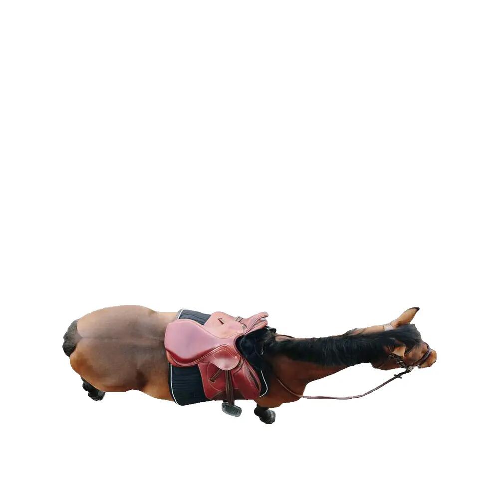 Logó nélküli ló hátaskendő Kentucky 10/10