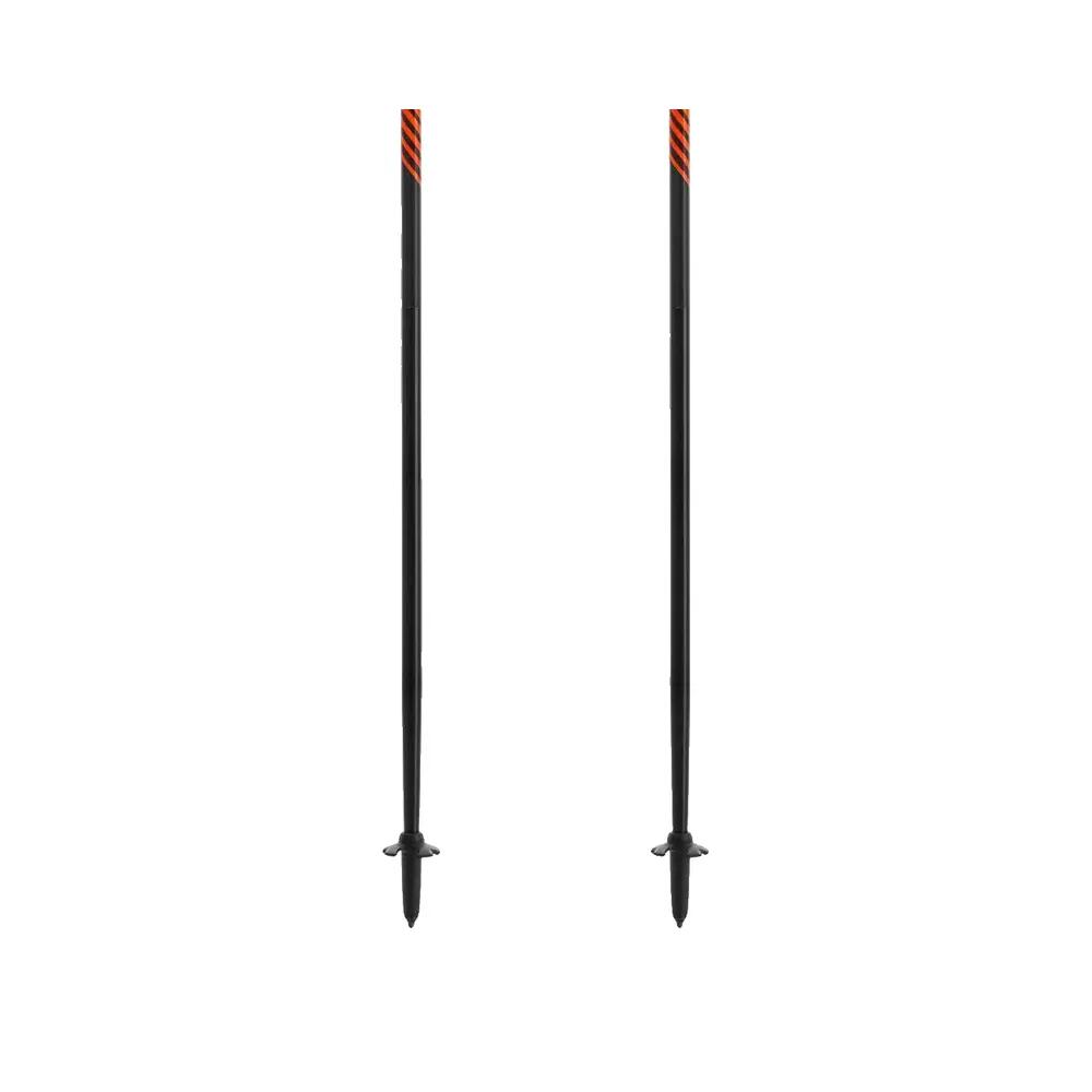 Trail stick Dynafit Alpine 4/6