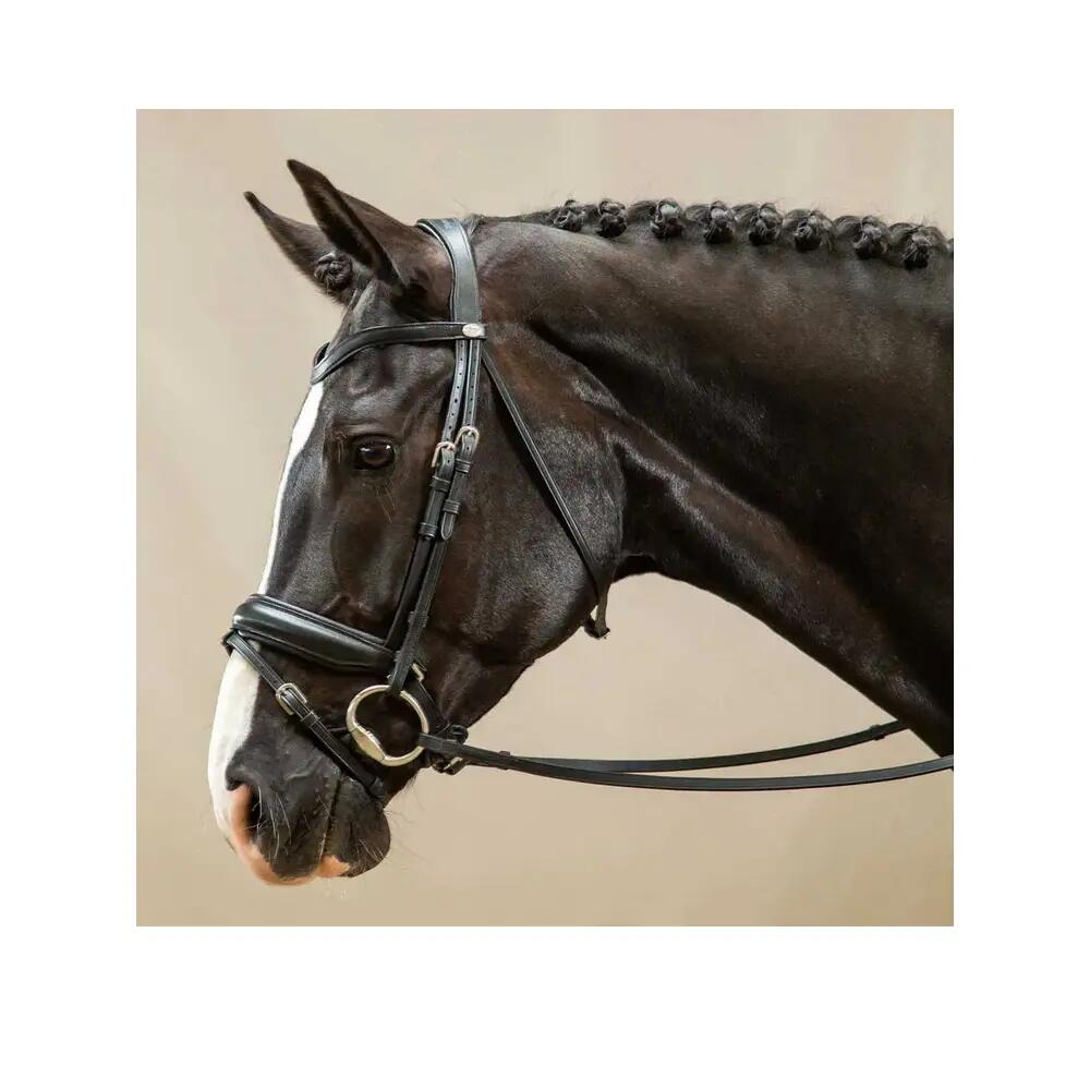 Briglia da equitazione anatomica con ampio nasello combinato Dy'on 2/2