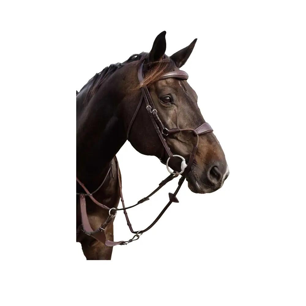 Bocca per cavallo elastica Dy'on Hybride 2/3