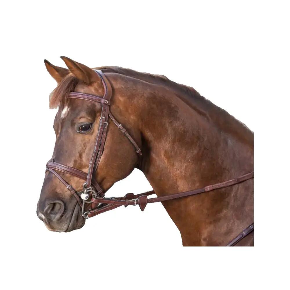 Gummizügel für Ponys mit 7 Stoppern Dy'on 2/2