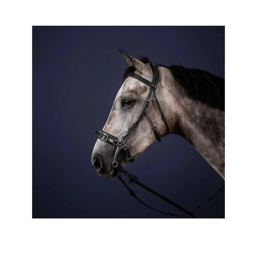 Bridons équitation hackmore Dy'on Hackmore 2/2