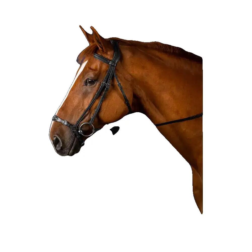 Anatomical bridle with adjustable noseband Dy'on 2/2