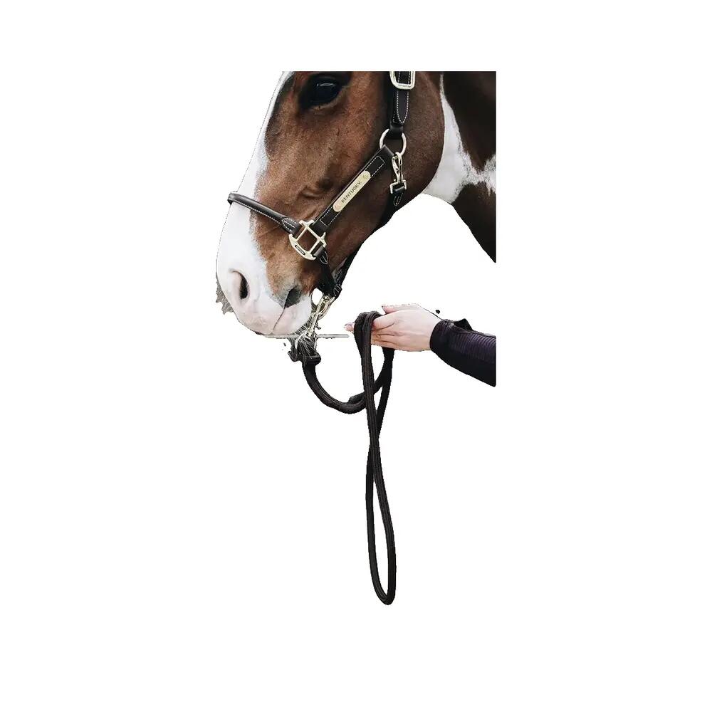 Koord voor paardrijden Kentucky Loop Basic 3/4
