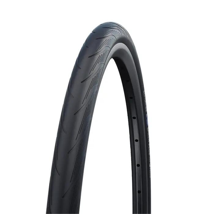 SCHWALBE picture