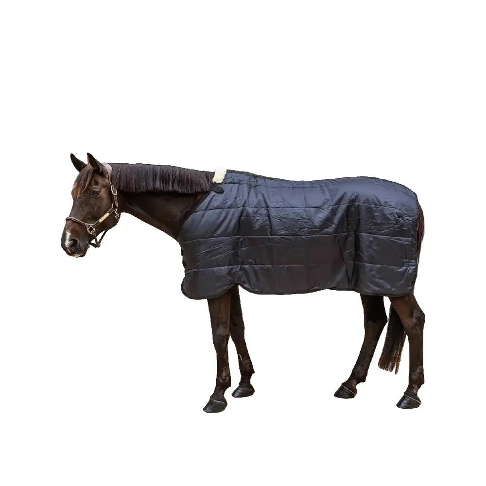 Coperta da paddock per cavalli Kentucky Horsewear Comfort 300 g 2/5