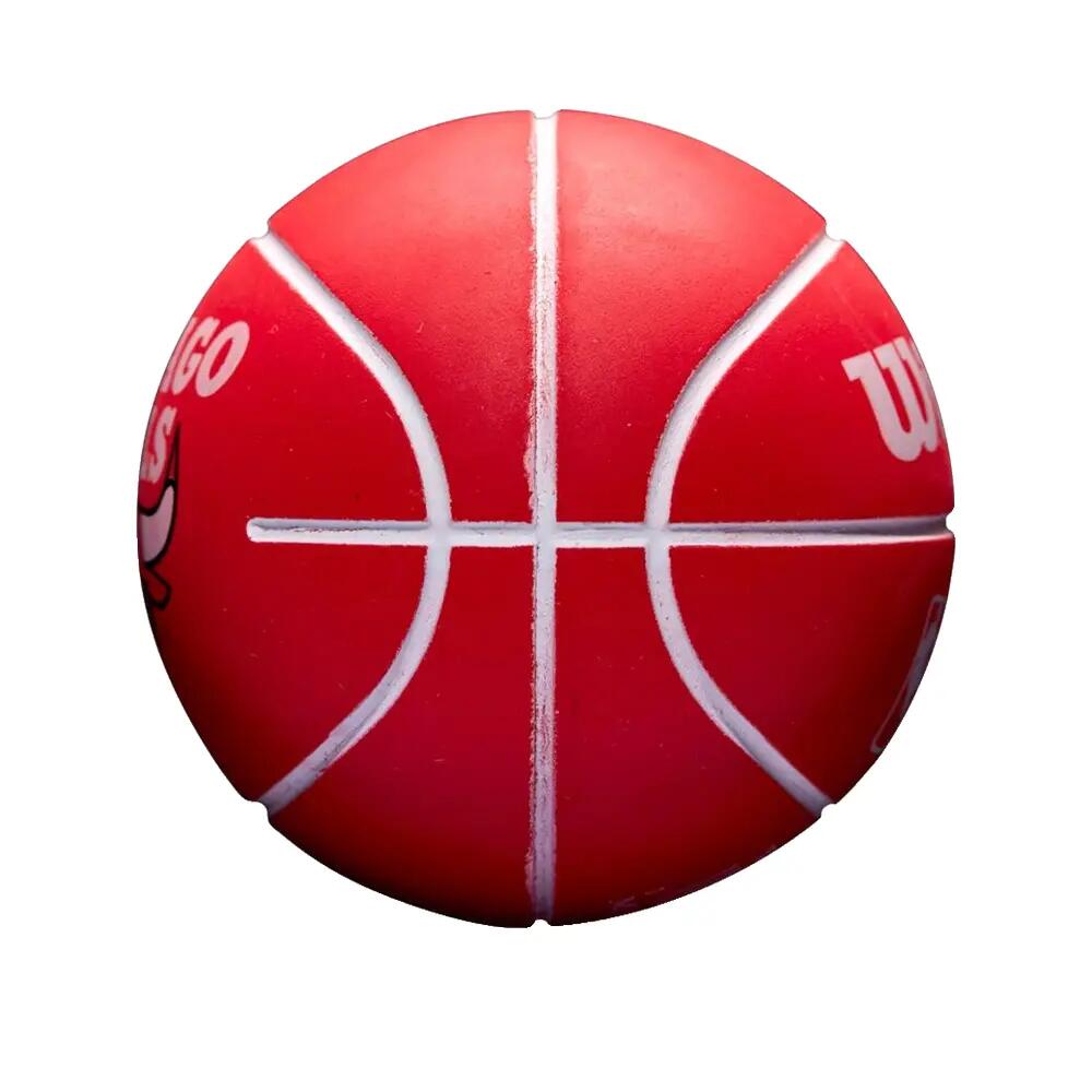 Basketball NBA dribbling Chicago Bulls 6/6
