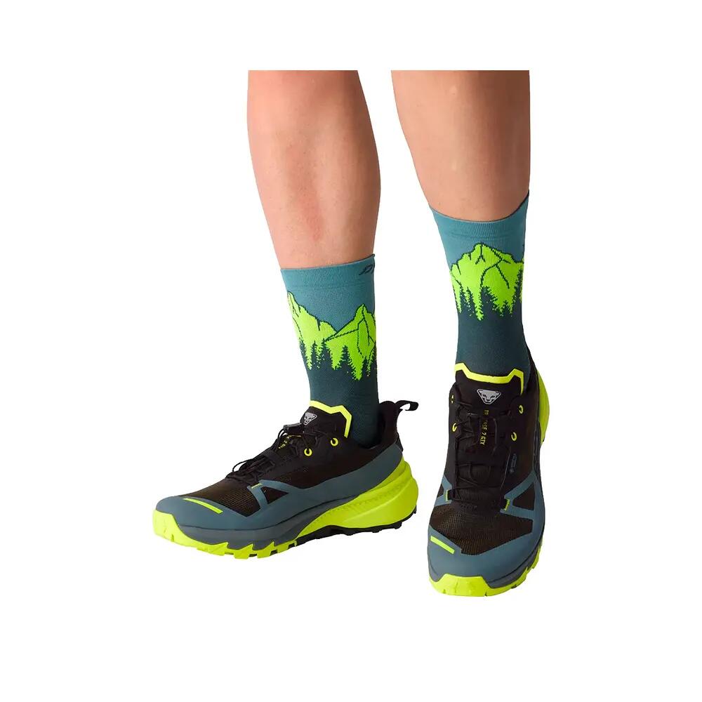 Chaussures d'alpinisme Dynafit Traverse 2 Gtx 6/7