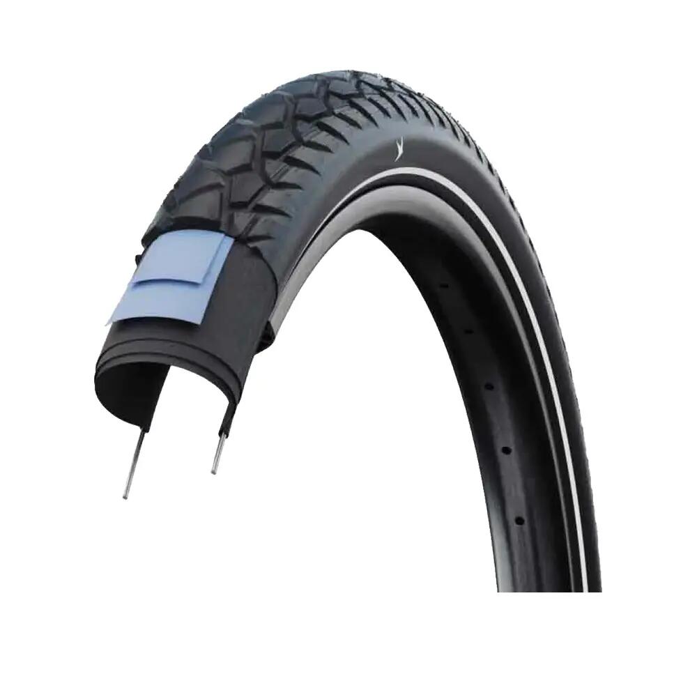 SCHWALBE picture