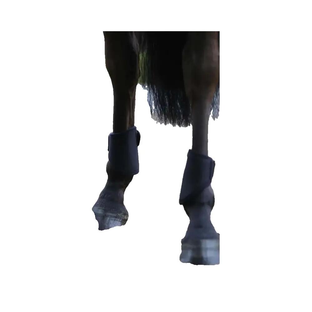 Protège-boulets Kentucky Short 3D Spacer 5/5
