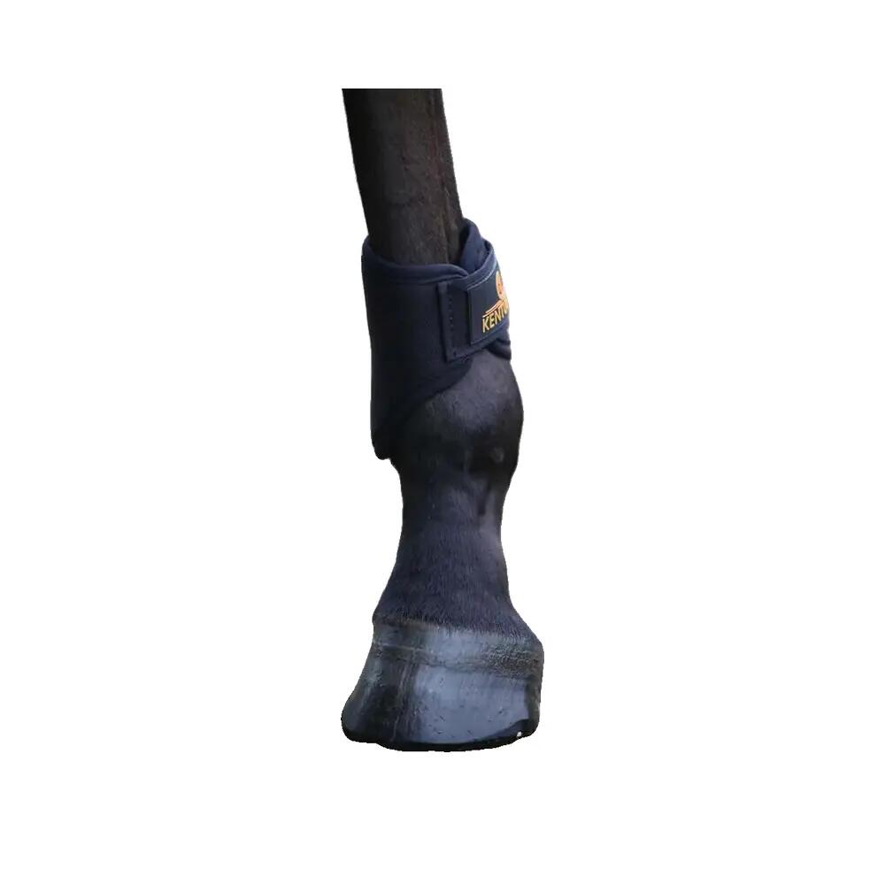 Protège-boulets Kentucky Short 3D Spacer 4/5