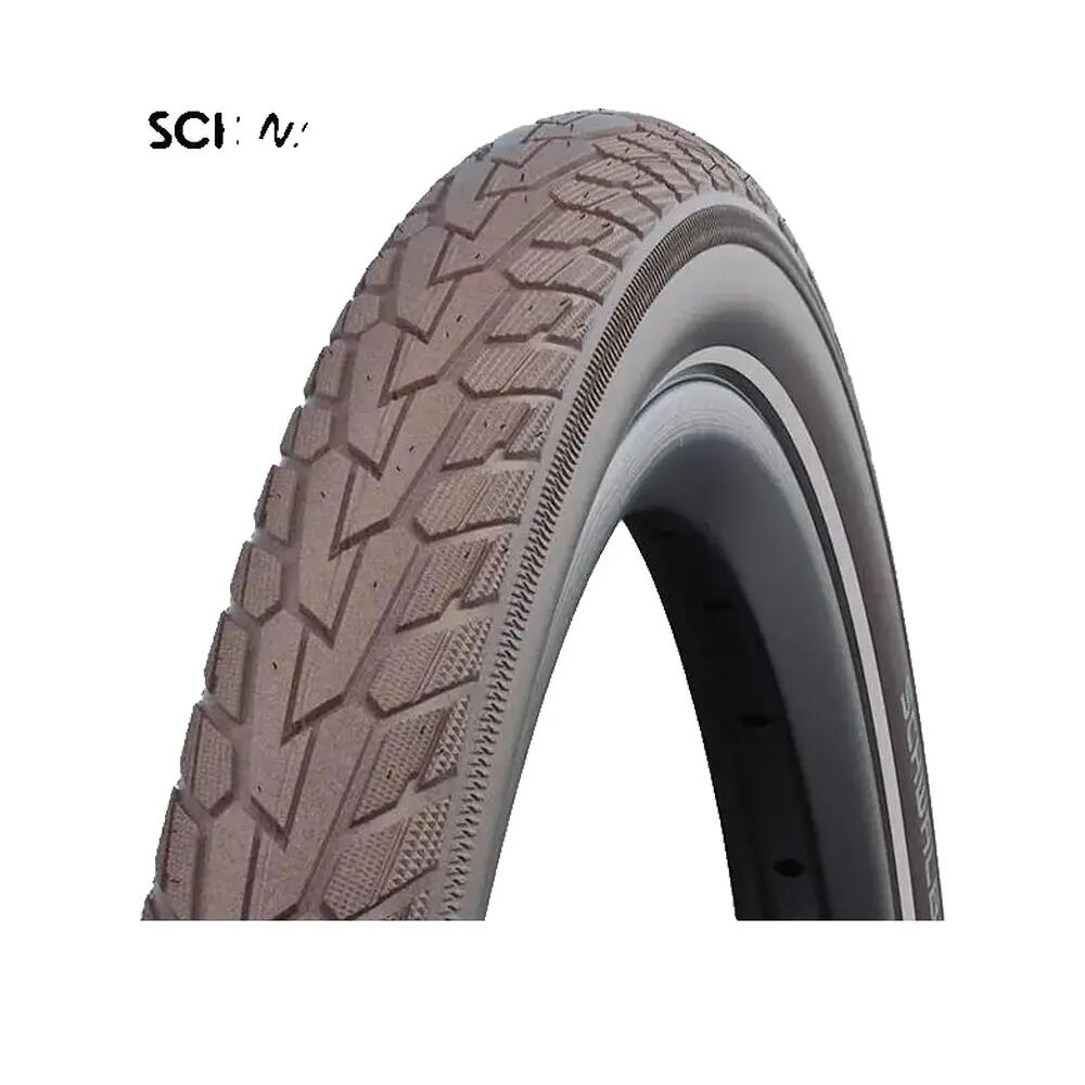 SCHWALBE picture