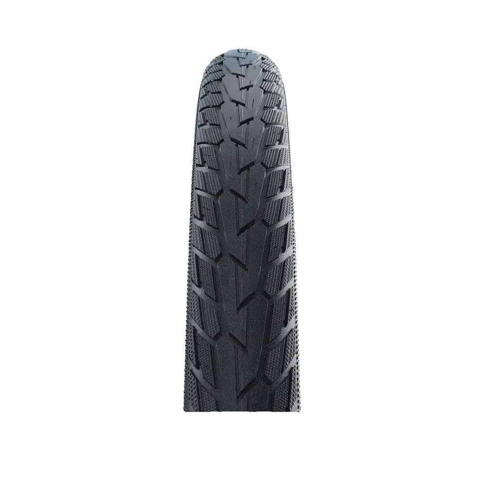 SCHWALBE picture