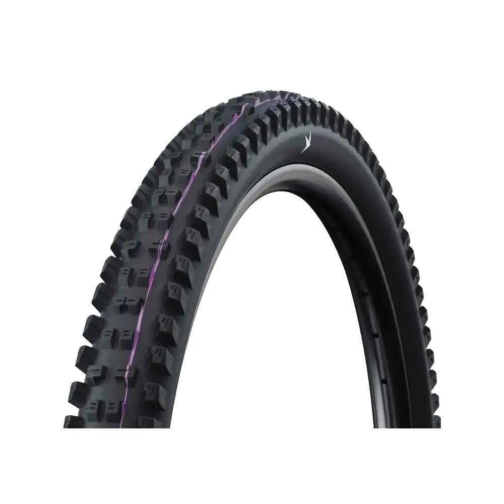 SCHWALBE picture