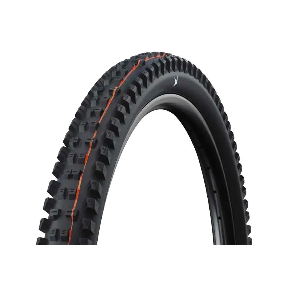 SCHWALBE picture