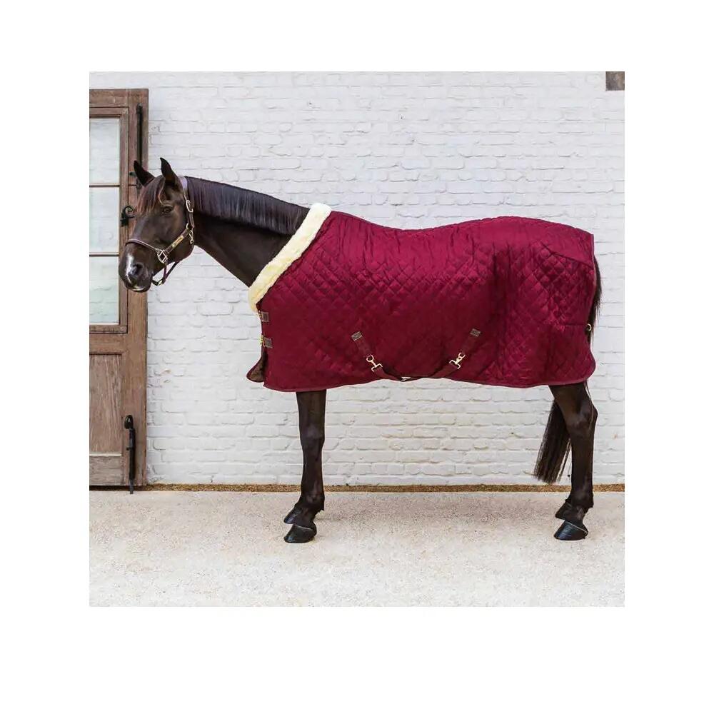 Coperta da box per cavalli Kentucky Horsewear 160g 6/6