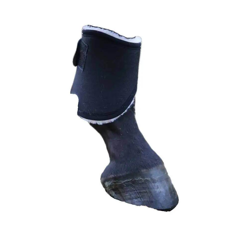 Guêtres pour cheval ouvertes postérieurs Kentucky Solimbra 4/4