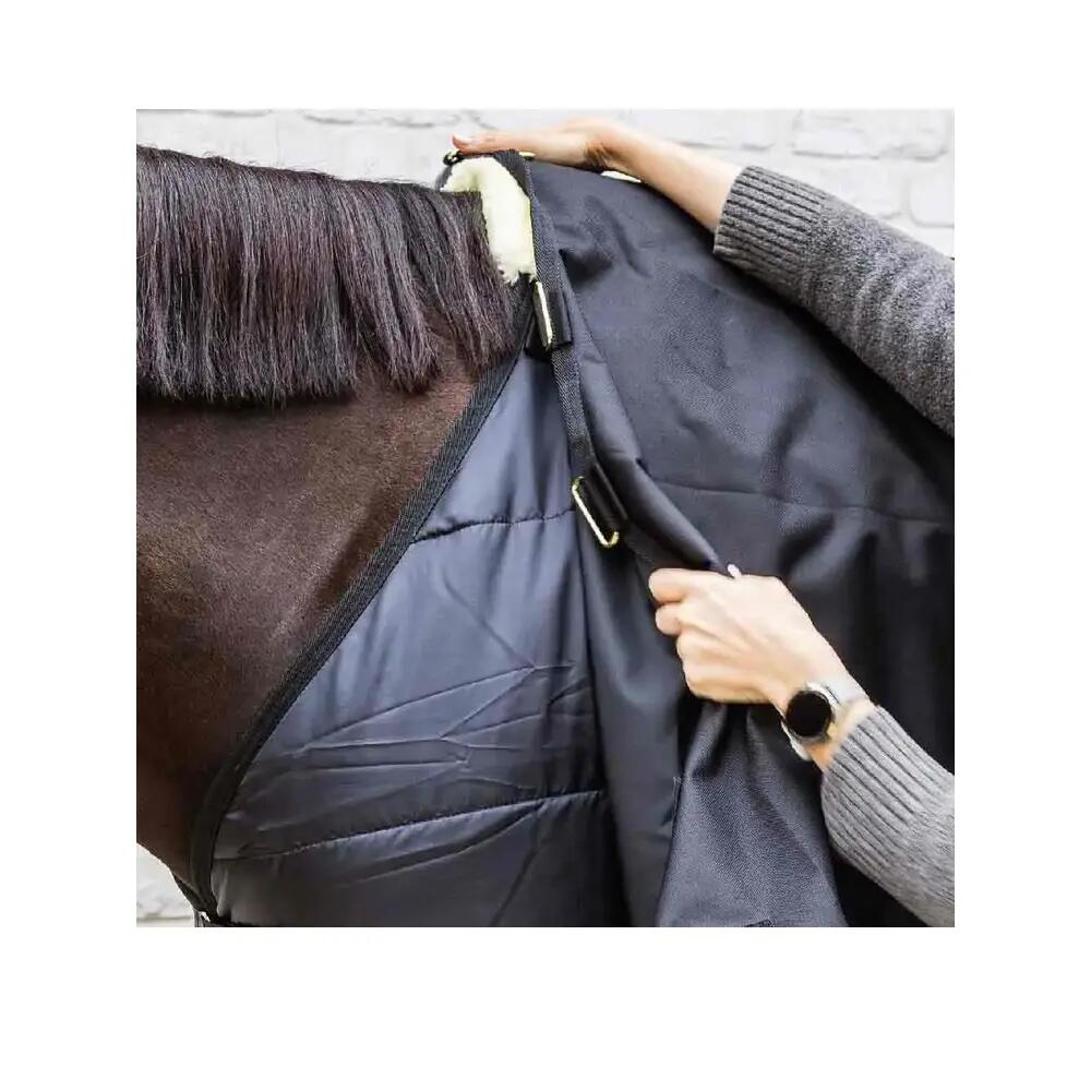 Outdoor paardendeken Kentucky Horsewear Pro 100 g 6/6