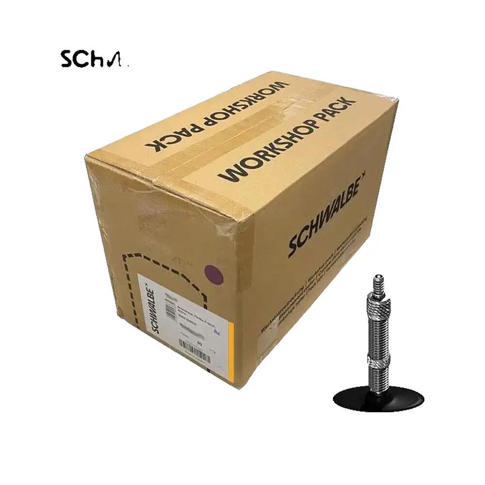 SCHWALBE picture