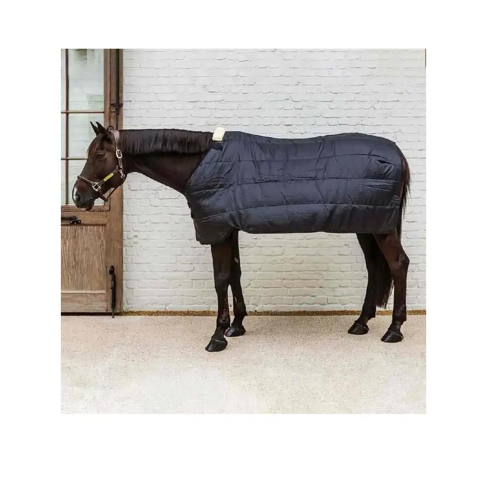 Outdoor paardendeken Kentucky Horsewear Pro 100 g 2/6