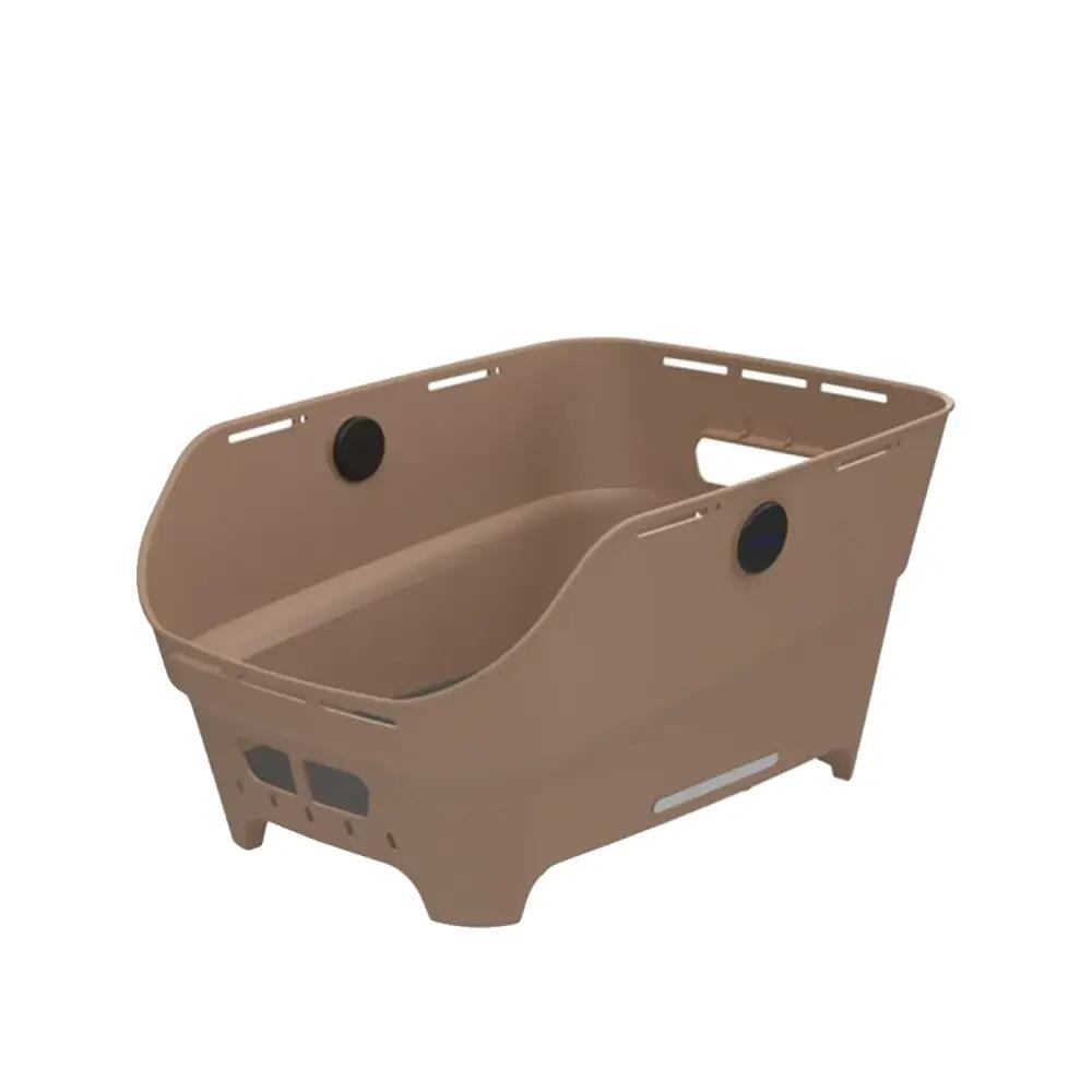 BASIL picture