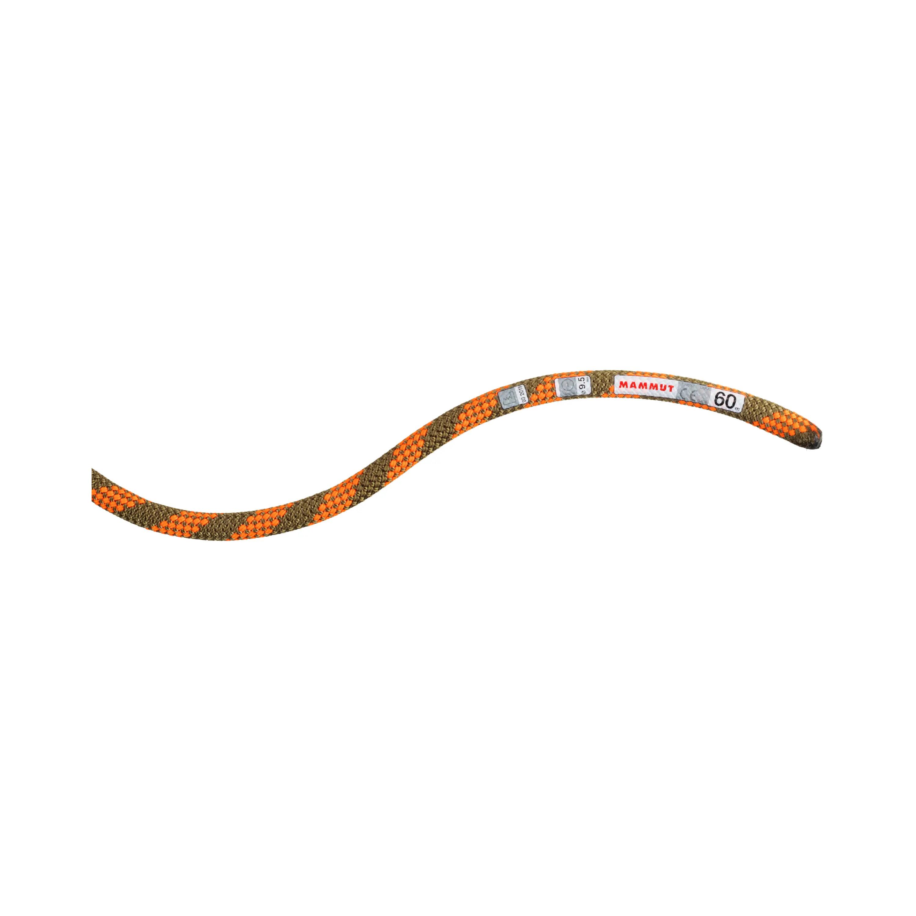 Corde d'escalade Mammut Crag Dry 9.5 mm Arancione 2/4