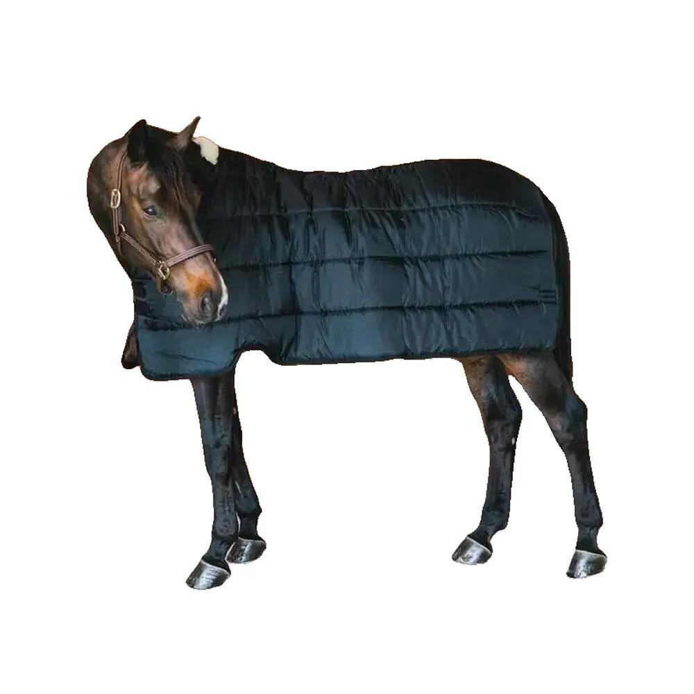 Coperta da paddock per cavalli Kentucky Pro 200g 7/7
