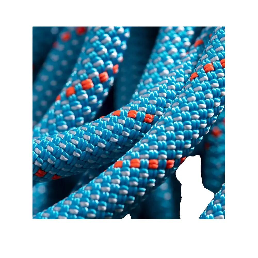 Cordon simplu MAMMUT 9.8 Crag Classic ice mint-white 3/3