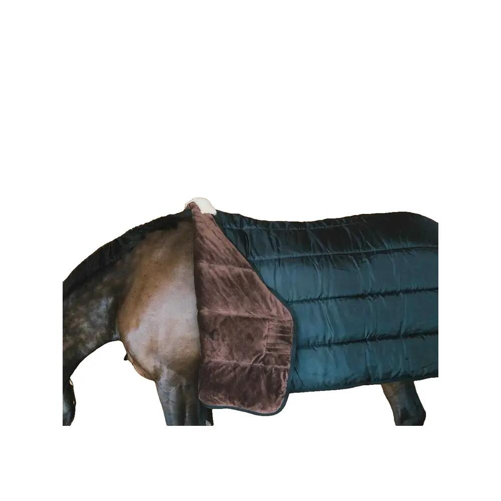 Coperta da paddock per cavalli Kentucky Pro 200g 2/7