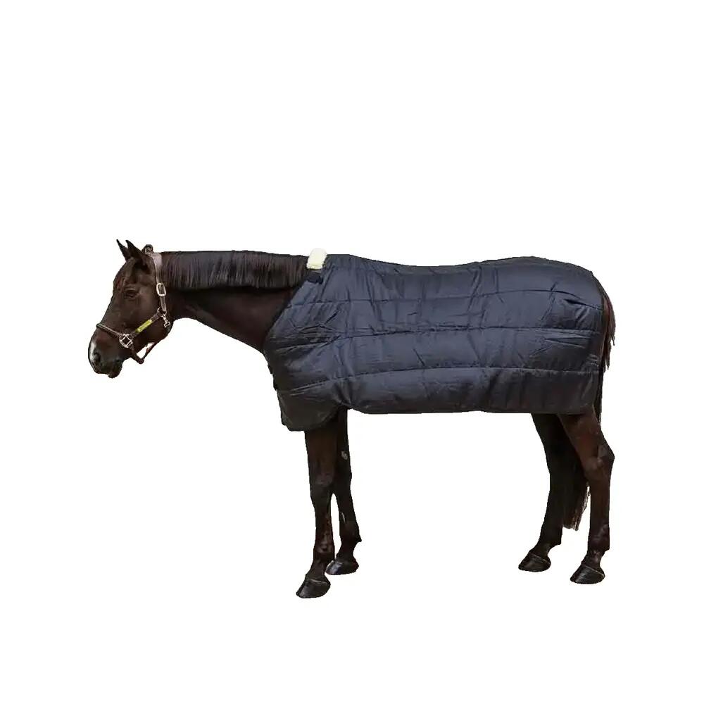 Zewnętrzna derka dla koni Kentucky Horsewear Pro 100 g 2/6