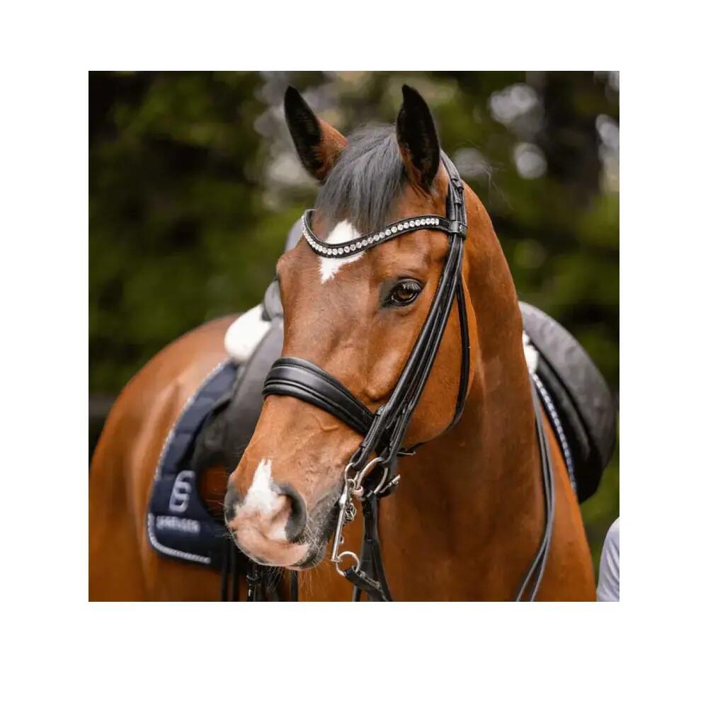 Morso a briglia per cavalli Sprenger HS Basic 5 cm 2/4