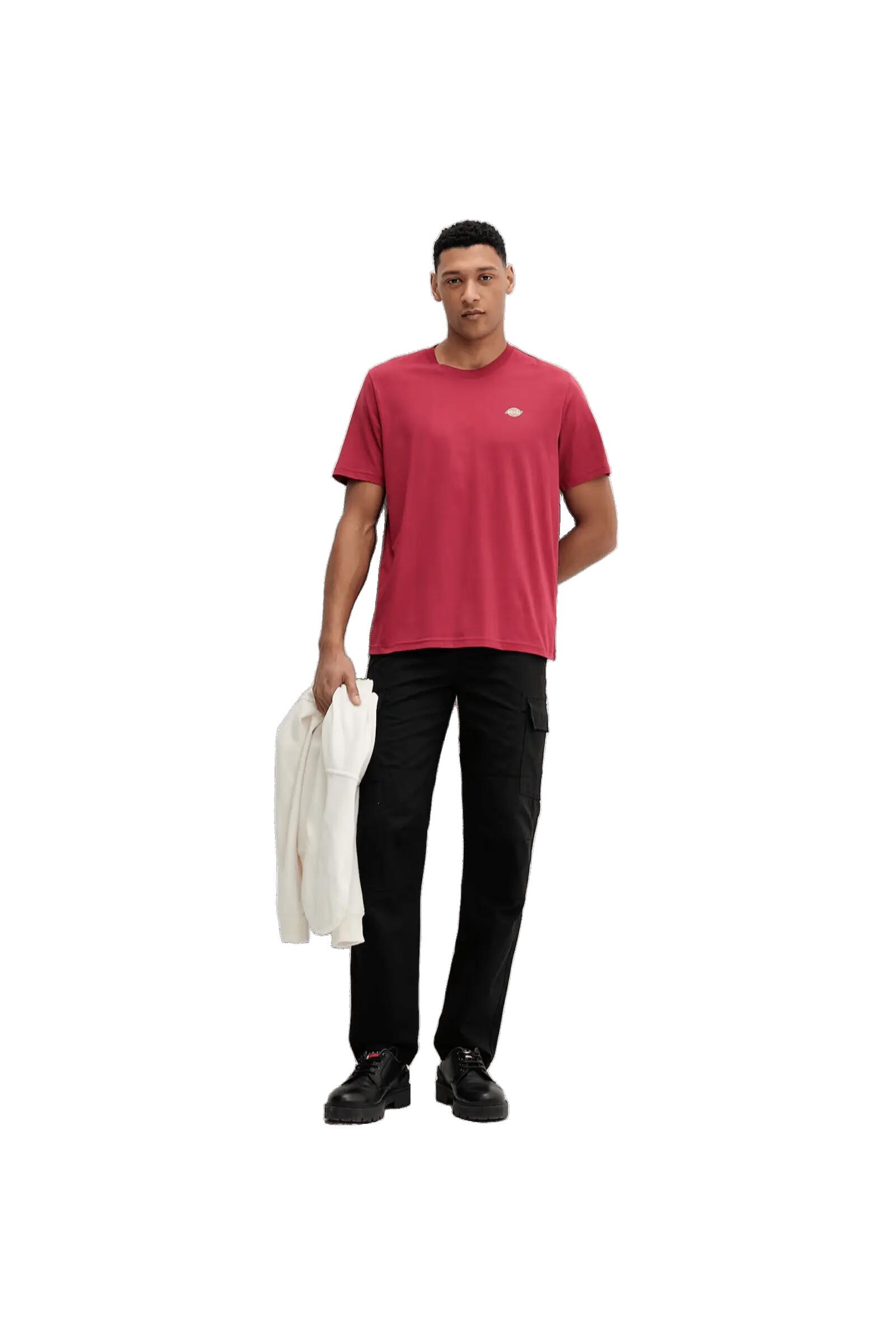 Kurzarmshirt Dickies Modell DK0A4XDBK471 für männer 3/5