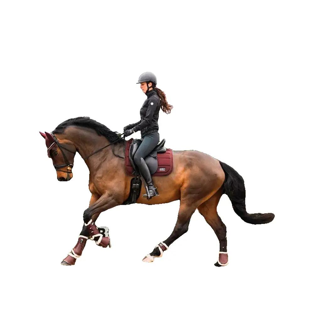 Flettenti di cavallo ANKY 5/5