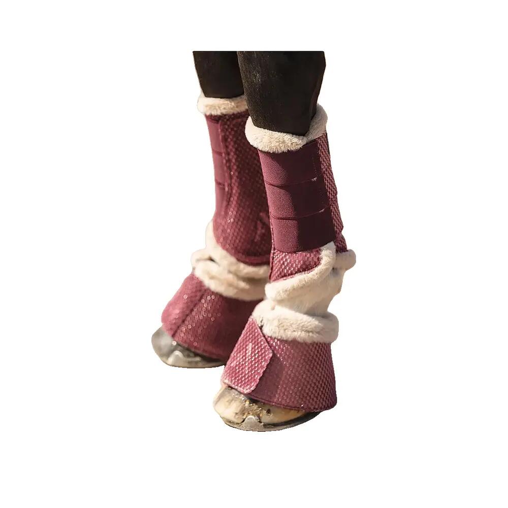 Closed horse boots ANKY ATB25005 4/5