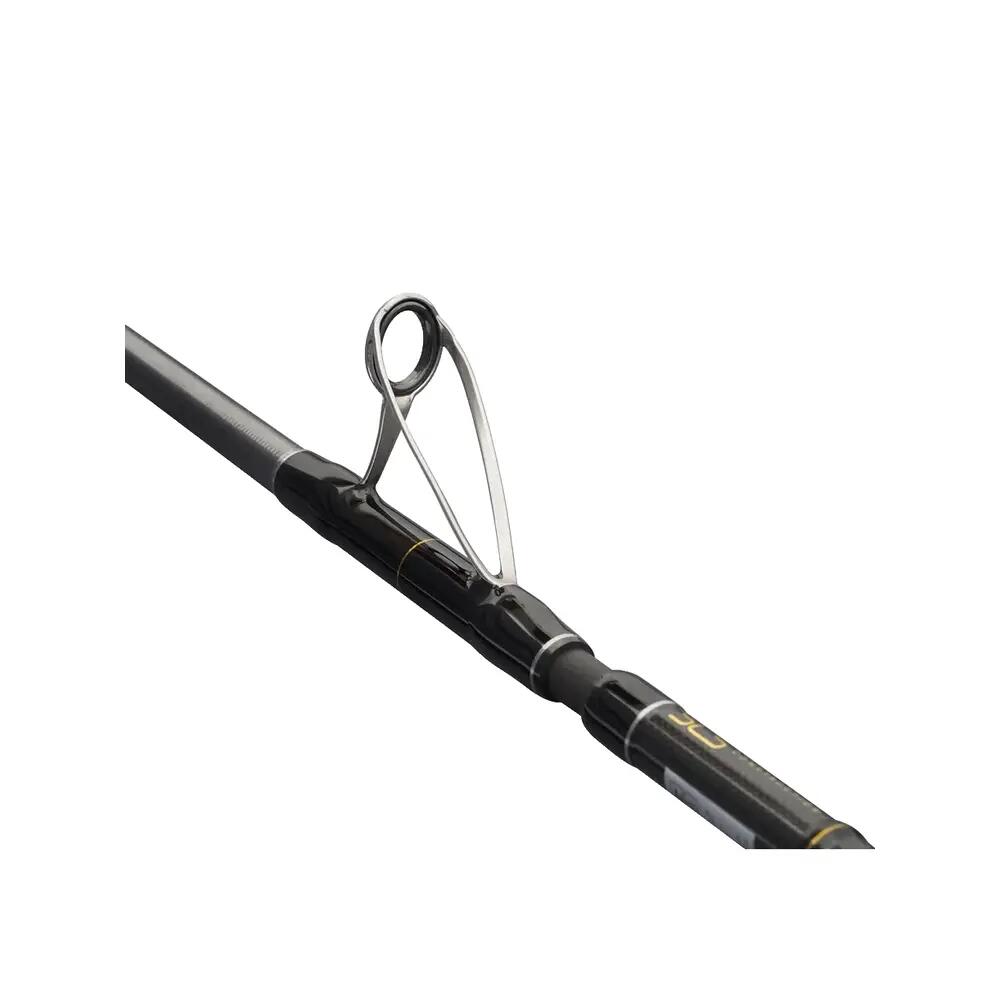 Asta da barca Penn Regiment IV Pro 20-30lb (x2) 4/6