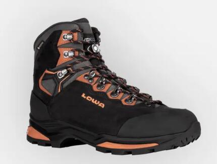 Schuh trekking herren Lowa Camino Evo Gtx