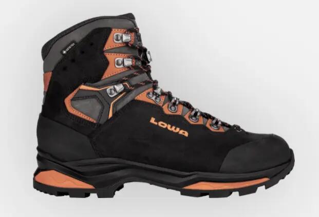 Schuh trekking herren Lowa Camino Evo Gtx 2/7
