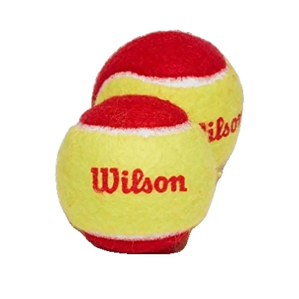 Set aus 12 Tennisbällen Wilson Starter 4/4