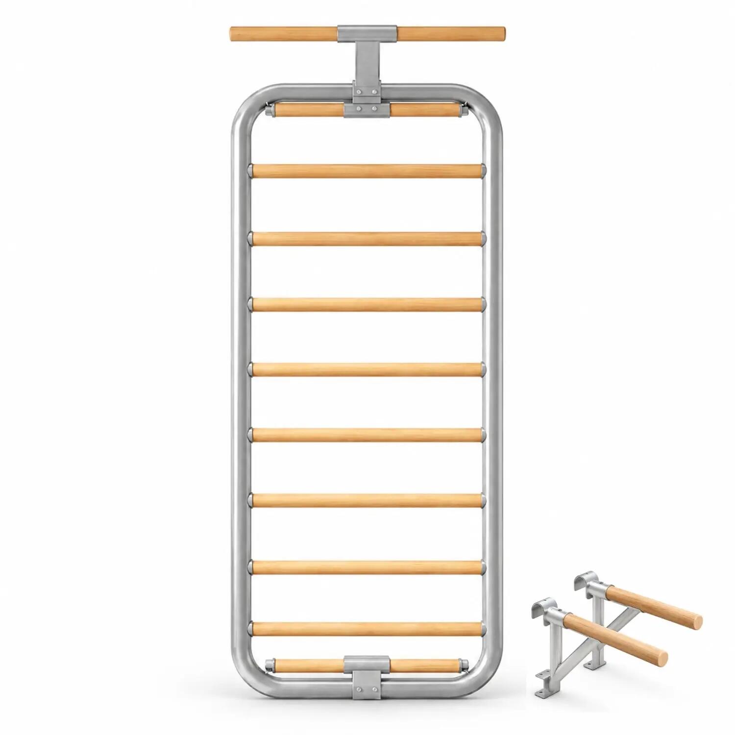 Homefittools Pro Wall-Mounted Stall Bar Swedish Ladder with Full Accessory Set, Silver