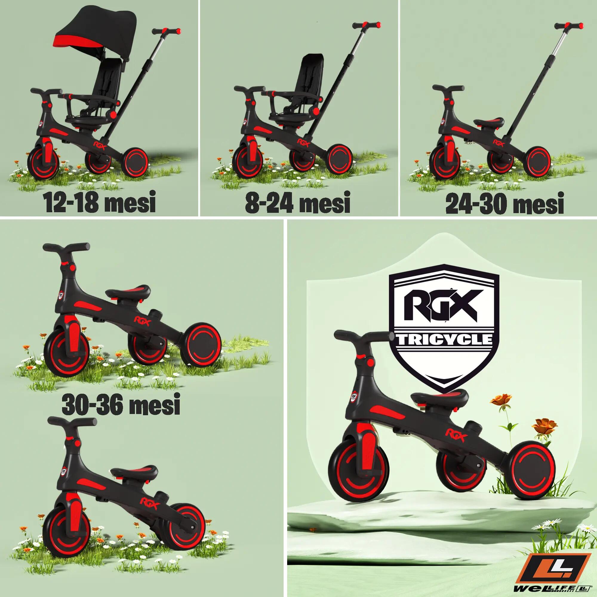 Triciclo Evolutivo 5 in 1 Bambini 1-3 Anni RGX EVO 3/9