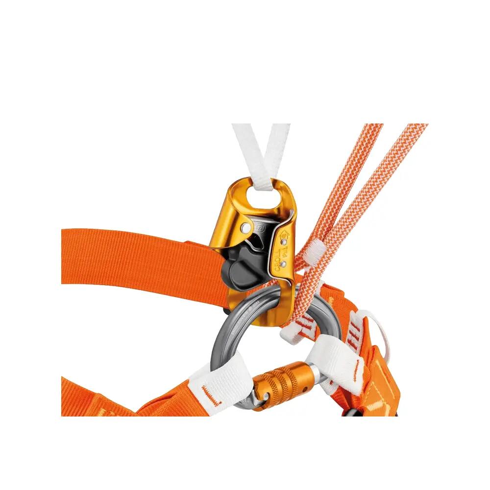 Karabinek zabezpieczający Petzl Omni Screw Lock Aluminium 4/5