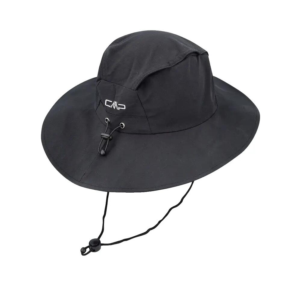 CMP picture