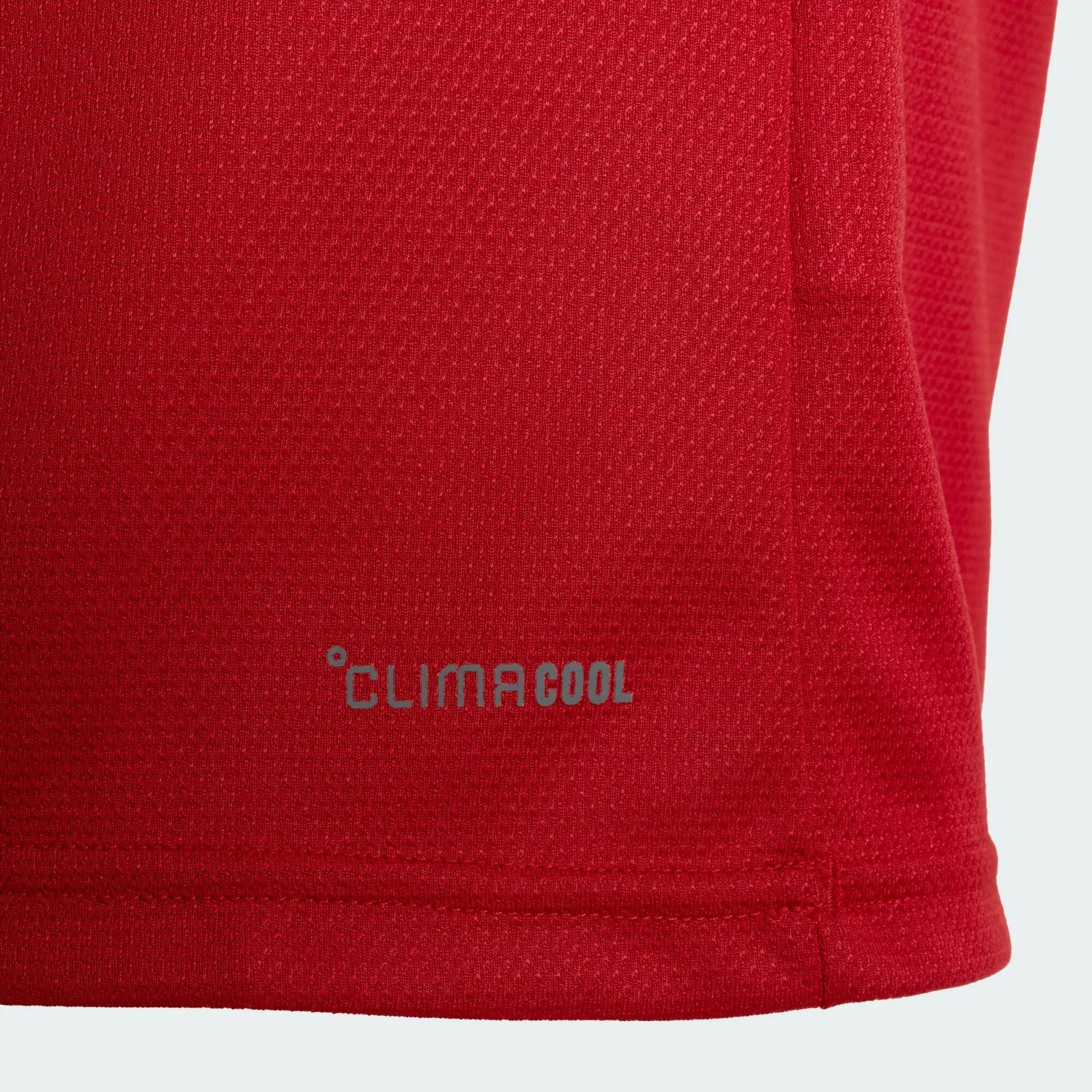 Maglia Home AS Roma 26/27 9/9