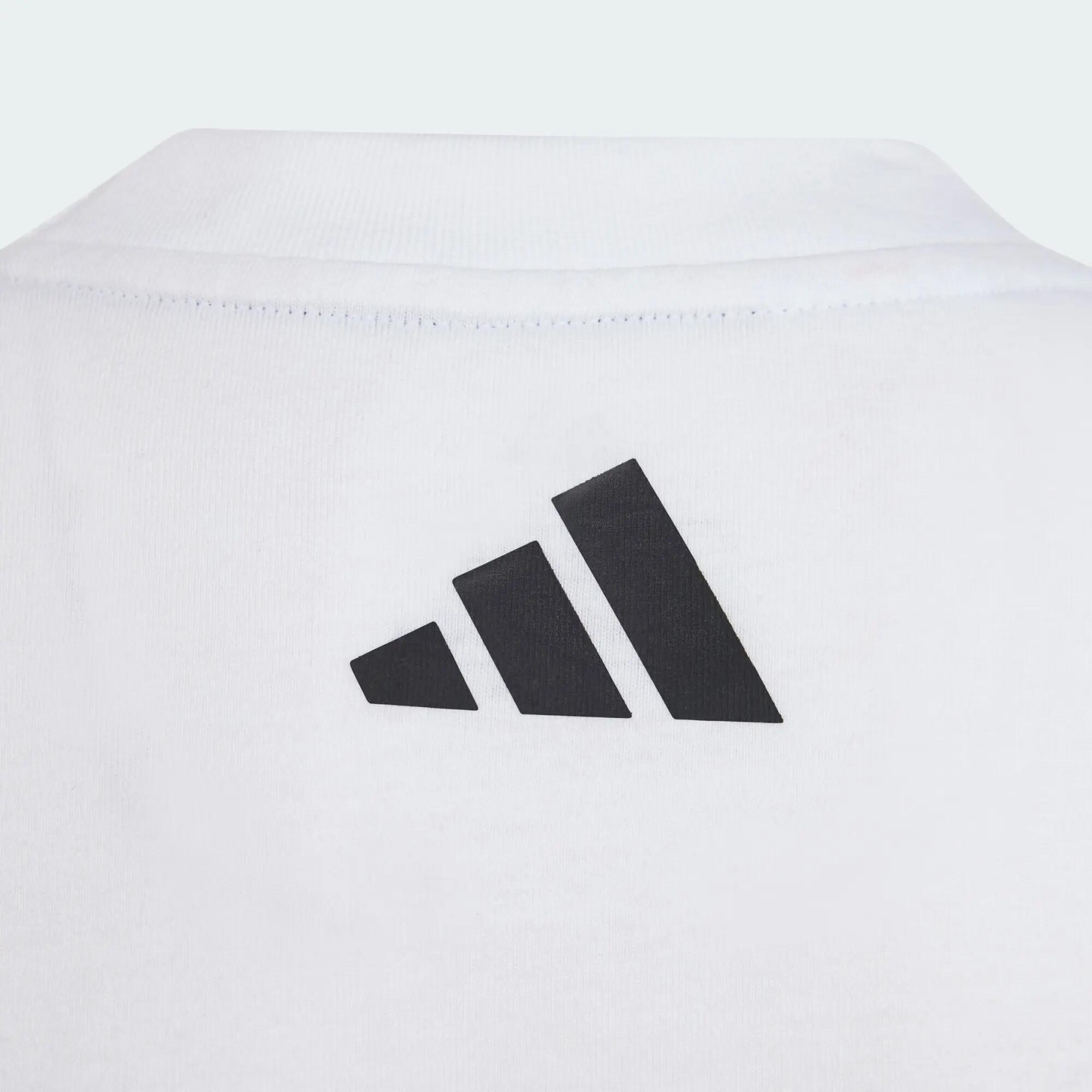 KOSZULKA MERCEDES - AMG PETRONAS FORMULA 1 TEAM DNA GRAPHIC TEE 5/5