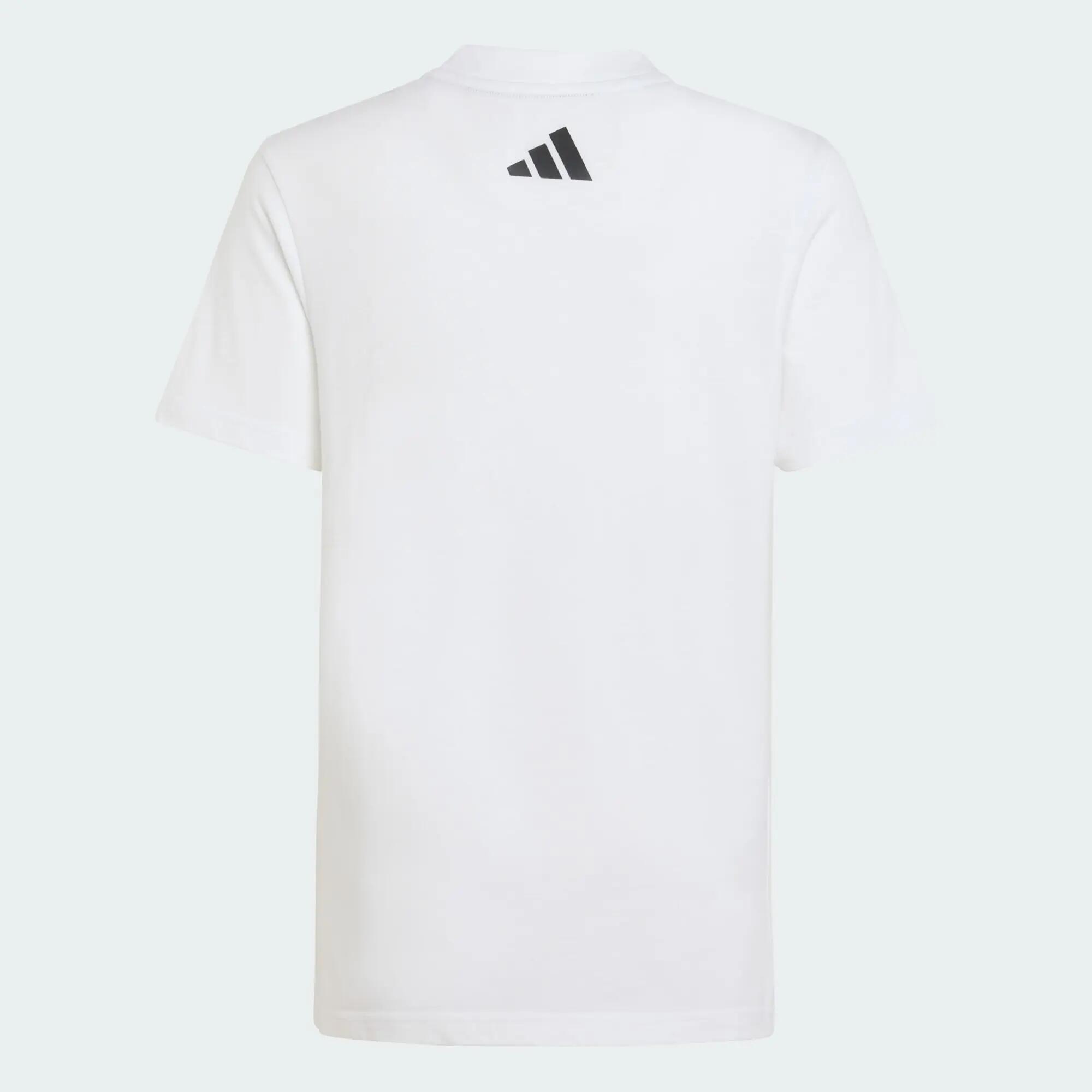 KOSZULKA MERCEDES - AMG PETRONAS FORMULA 1 TEAM DNA GRAPHIC TEE 3/5