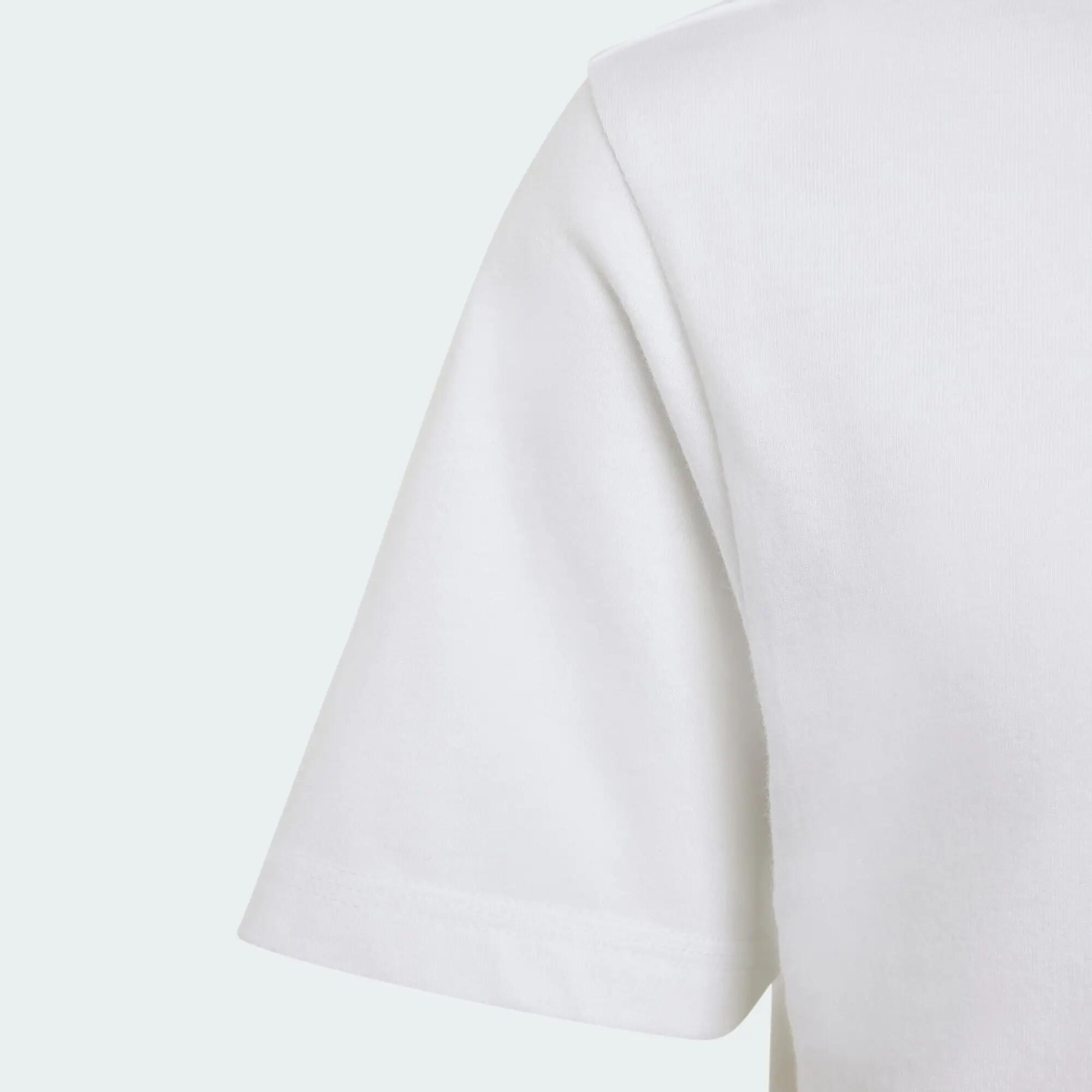 KOSZULKA MERCEDES - AMG PETRONAS FORMULA 1 TEAM DNA GRAPHIC TEE 2/5